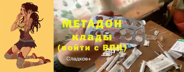 стаф Алзамай