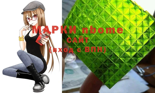 стаф Алзамай