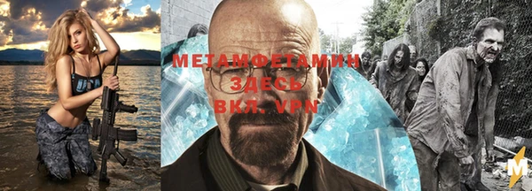 стаф Алзамай
