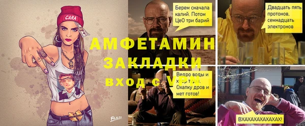 стаф Алзамай