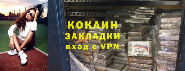 стаф Алзамай