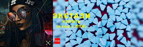 стаф Алзамай