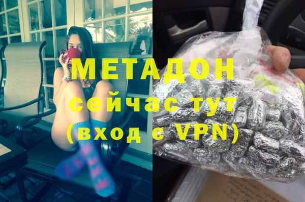 стаф Алзамай