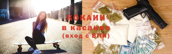 стаф Алзамай