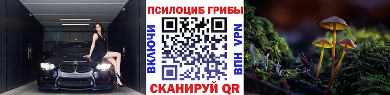 Галлюциногенные грибы мухоморы  закладка  Балабаново 