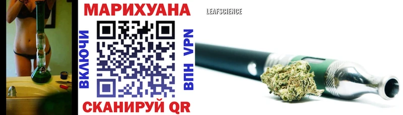 Конопля Amnesia  Балабаново 